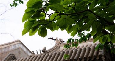 手機(jī)也能拍大片？北京這座四合院里，驚喜正在發(fā)生！