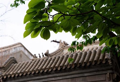 手機(jī)也能拍大片？北京這座四合院里，驚喜正在發(fā)生！