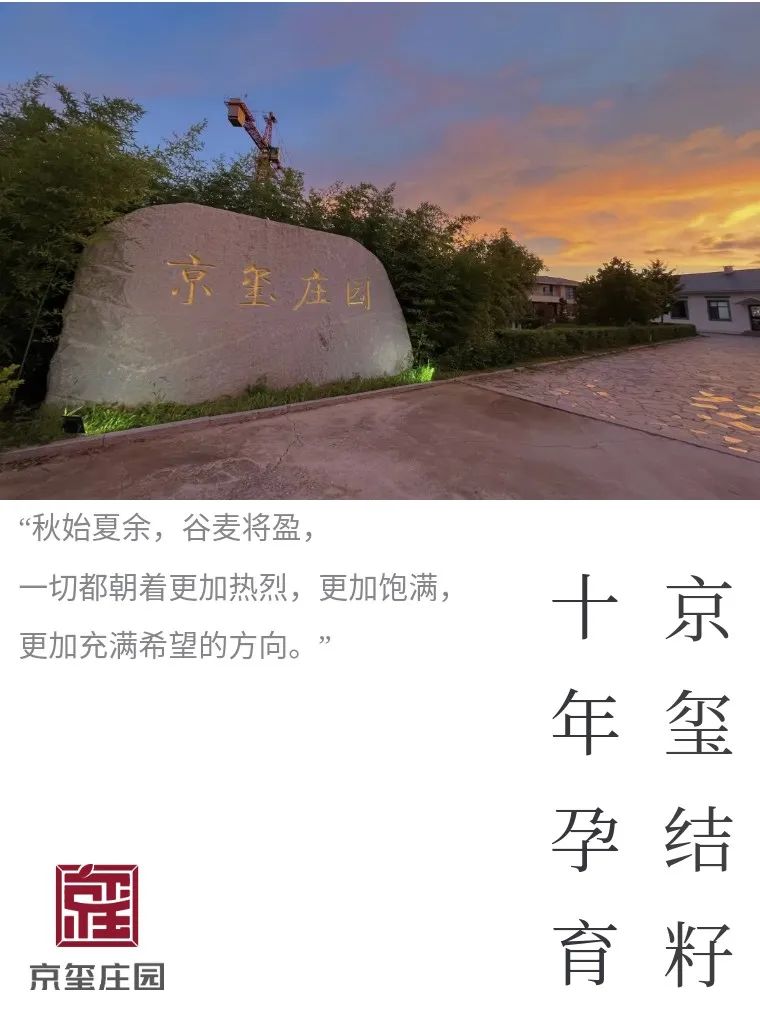 十年孕育，京璽結(jié)籽